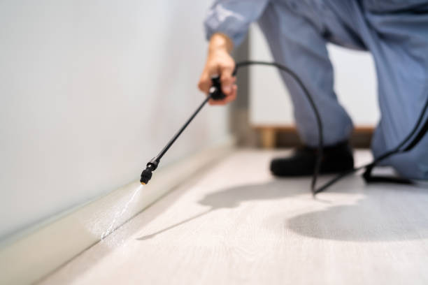 Licensed Cockroach Control service in Brevard, NC - Nex Pest Control